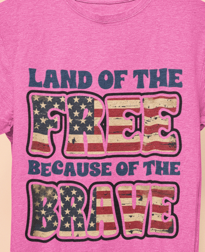 Land of the Free Because of the Brave T-Shirt